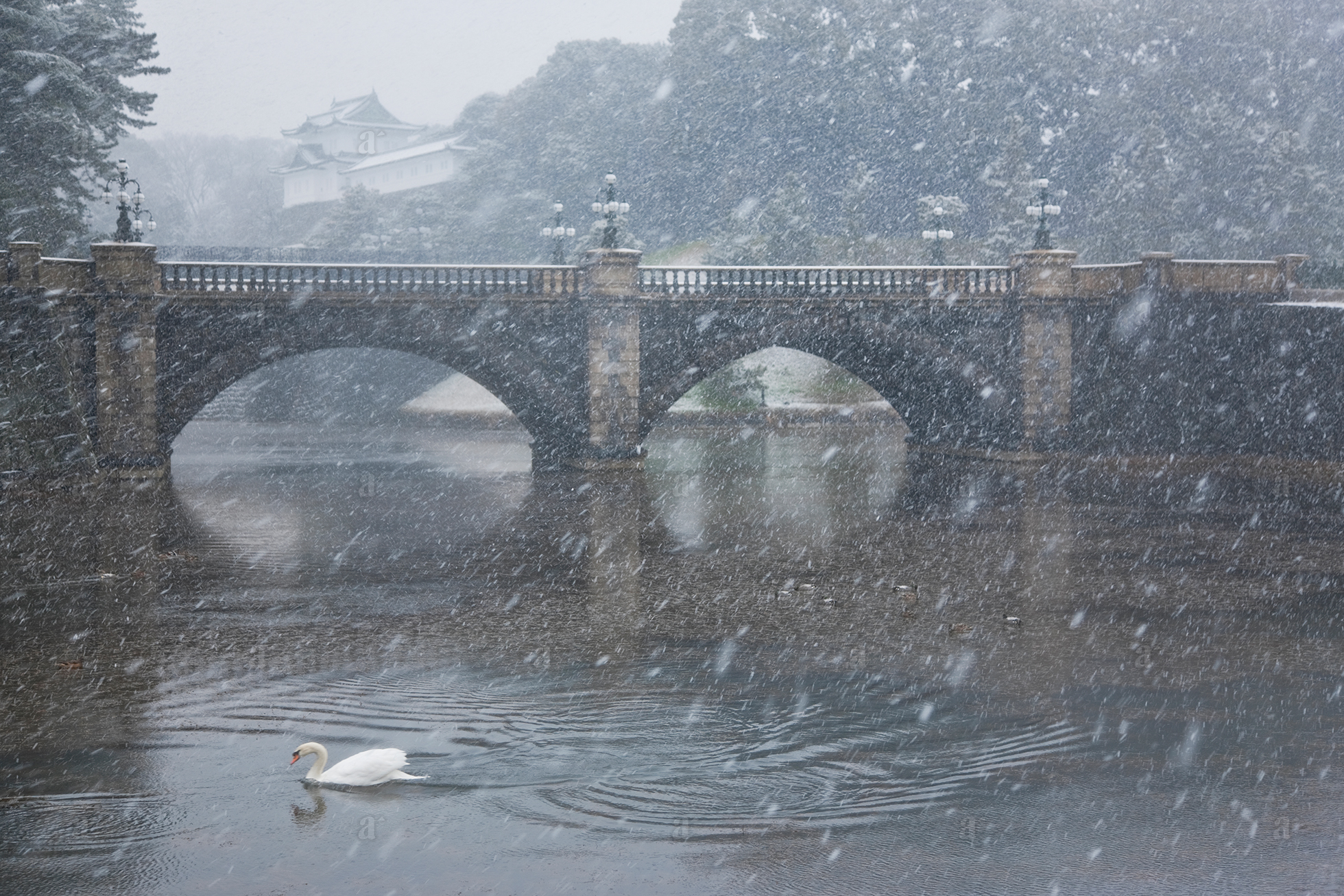 ベン・シモンズ &ldquo;二重橋　皇居&rdquo; Ben Simmons &ldquo;Nijubashi, Imperial Palace&rdquo;